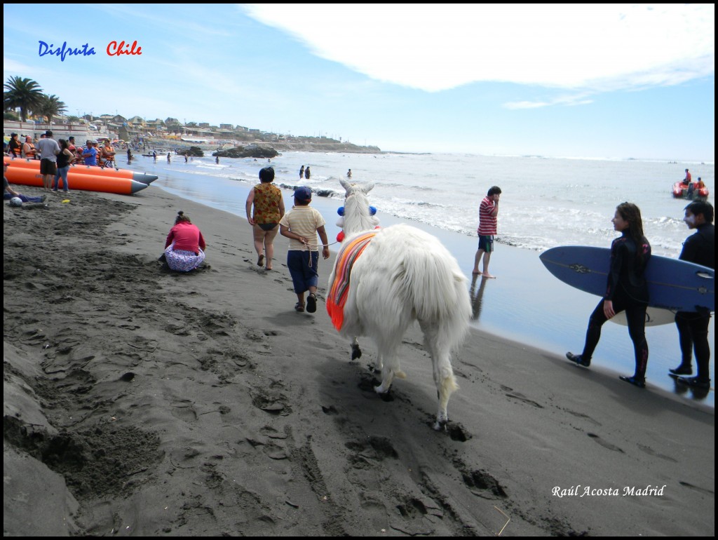 Foto de Pichilemu (Libertador General Bernardo OʼHiggins), Chile