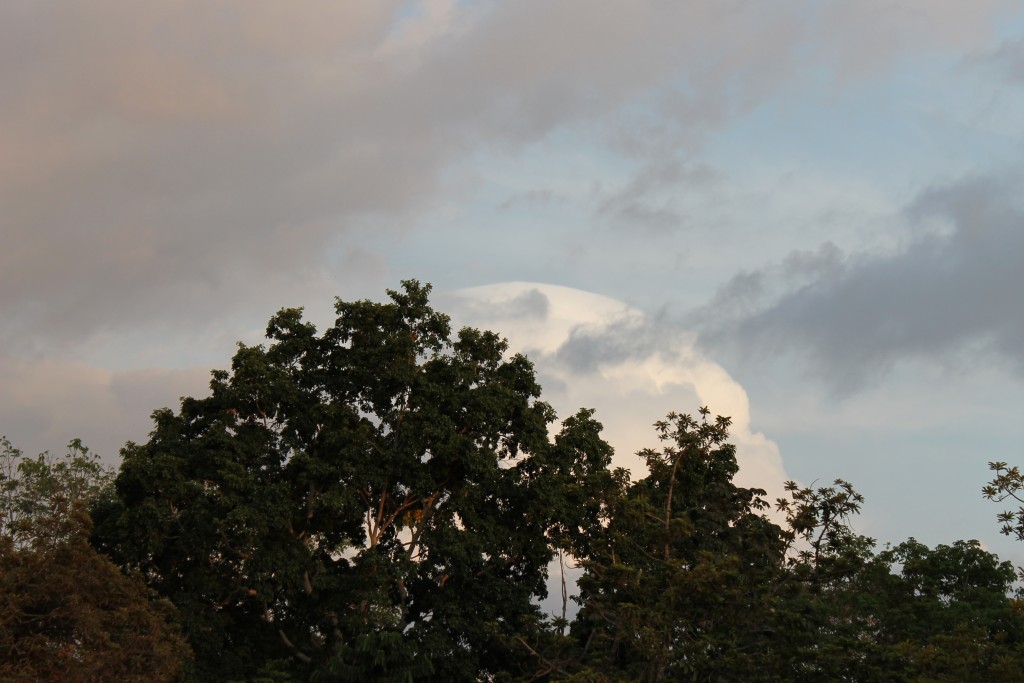 Foto de Tapachula (Chiapas), México