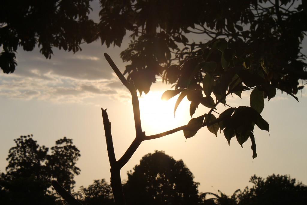 Foto de Tapachula (Chiapas), México