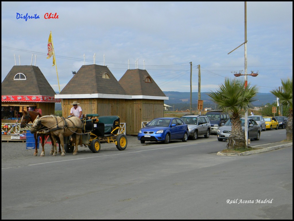 Foto de Pichilemu (Libertador General Bernardo OʼHiggins), Chile