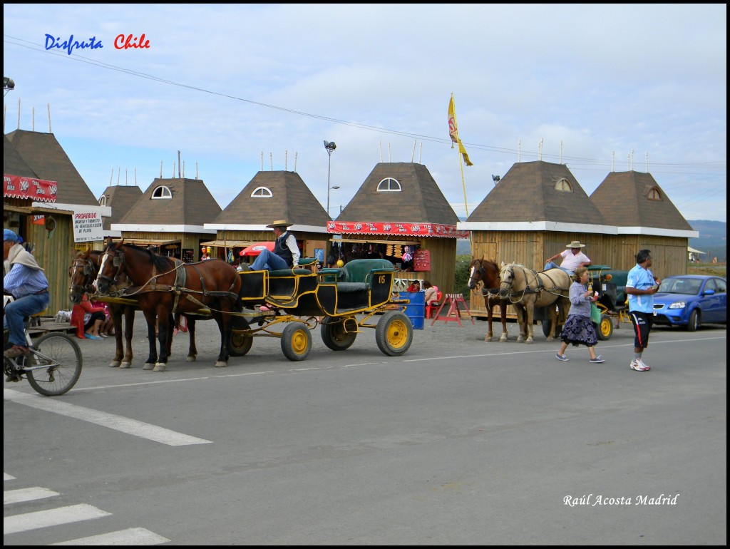 Foto de Pichilemu (Libertador General Bernardo OʼHiggins), Chile