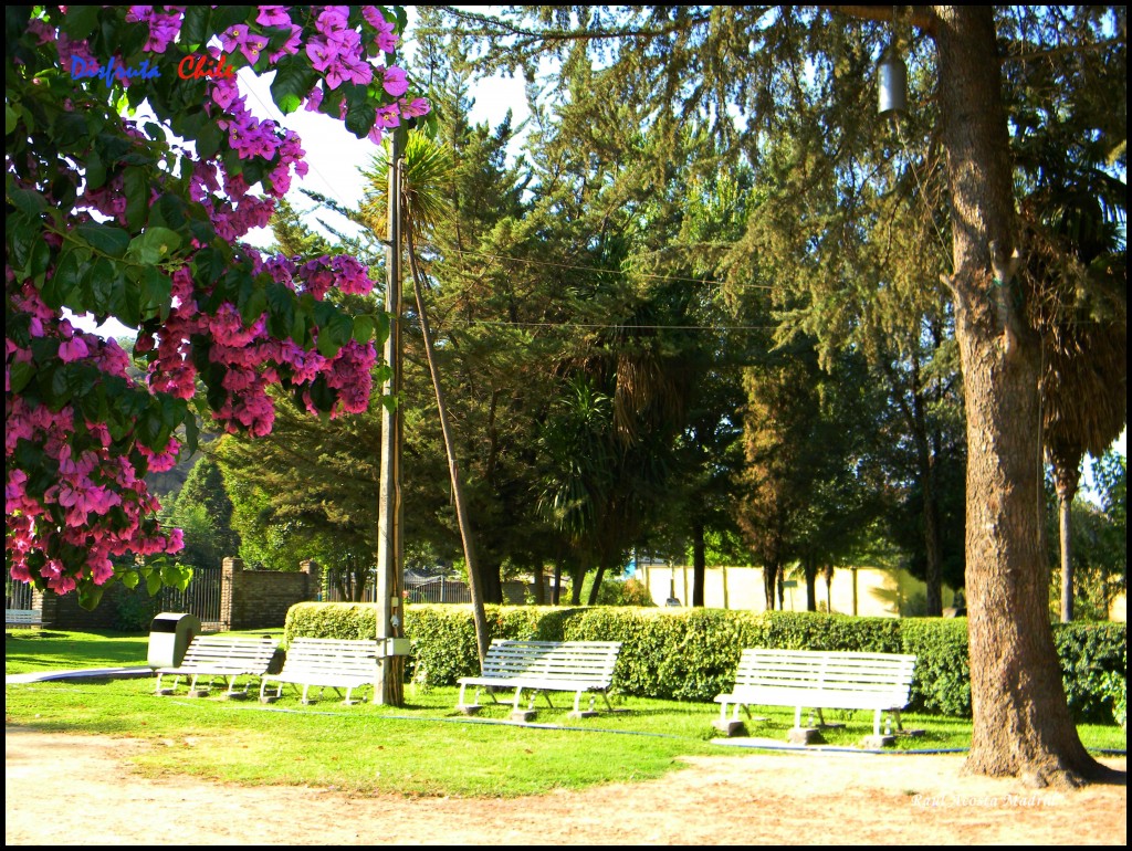 Foto de La Compañía (Libertador General Bernardo OʼHiggins), Chile