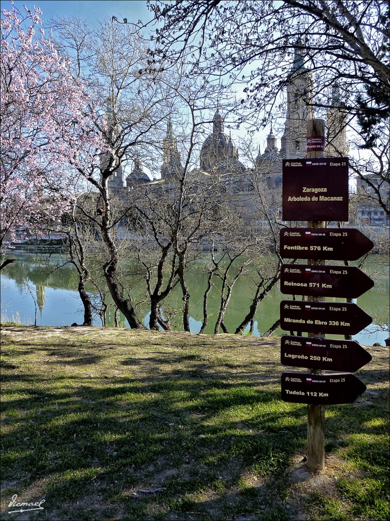 Foto: 120313-03 RIBERAS DEL EBRO - Zaragoza (Aragón), España