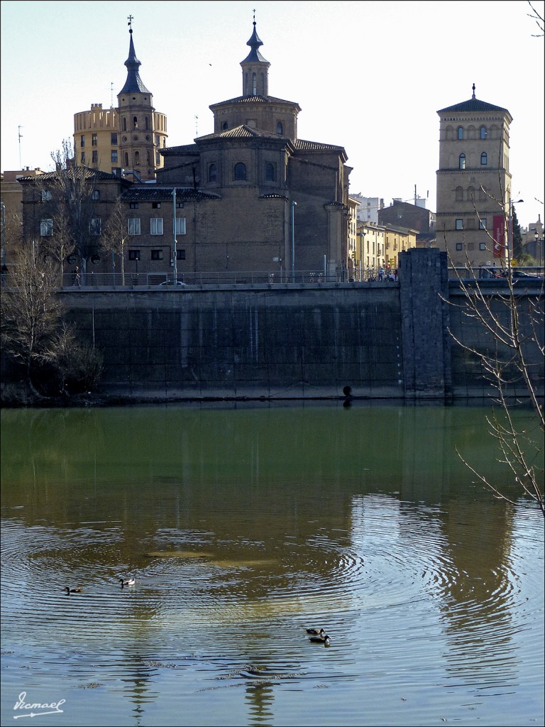 Foto: 120313-06 RIBERAS DEL EBRO - Zaragoza (Aragón), España