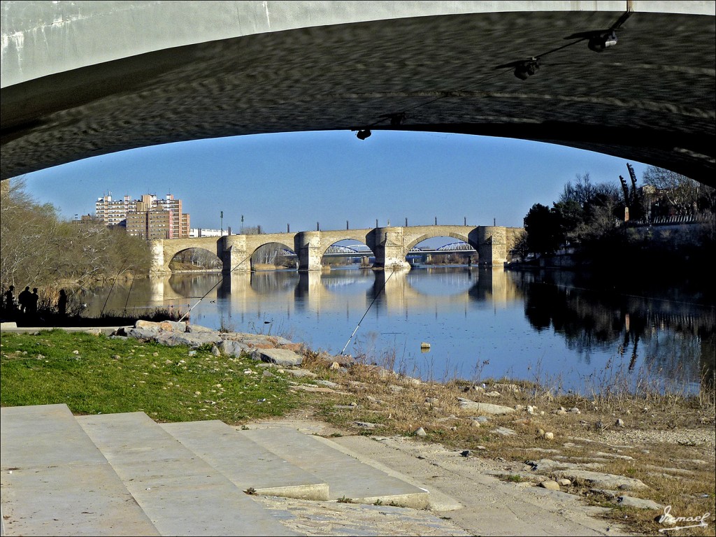 Foto: 120313-11 RIBERAS DEL EBRO - Zaragoza (Aragón), España