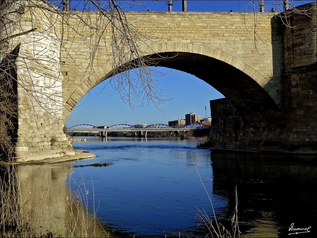 Foto: 120313-19 RIBERAS DEL EBRO - Zaragoza (Aragón), España