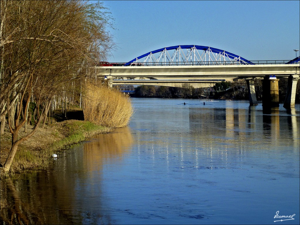 Foto: 120313-23 RIBERAS DEL EBRO - Zaragoza (Aragón), España