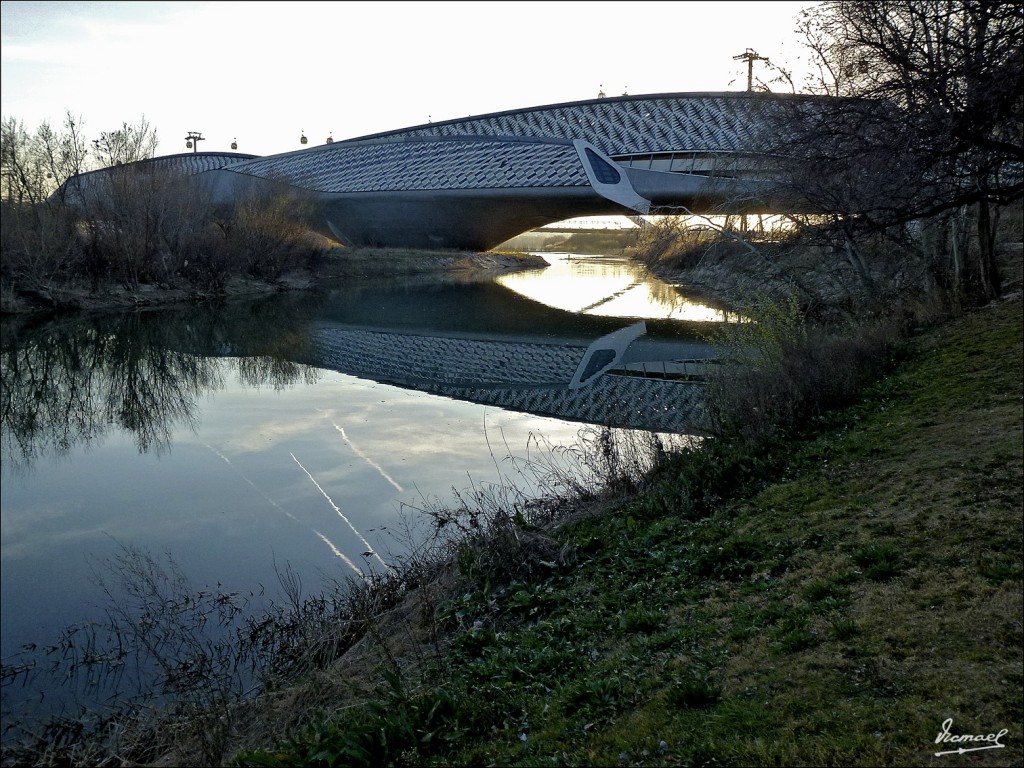 Foto: 120313-27 RIBERAS DEL EBRO - Zaragoza (Aragón), España