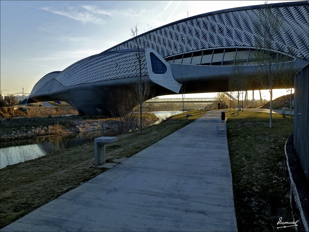 Foto: 120313-28 RIBERAS DEL EBRO - Zaragoza (Aragón), España