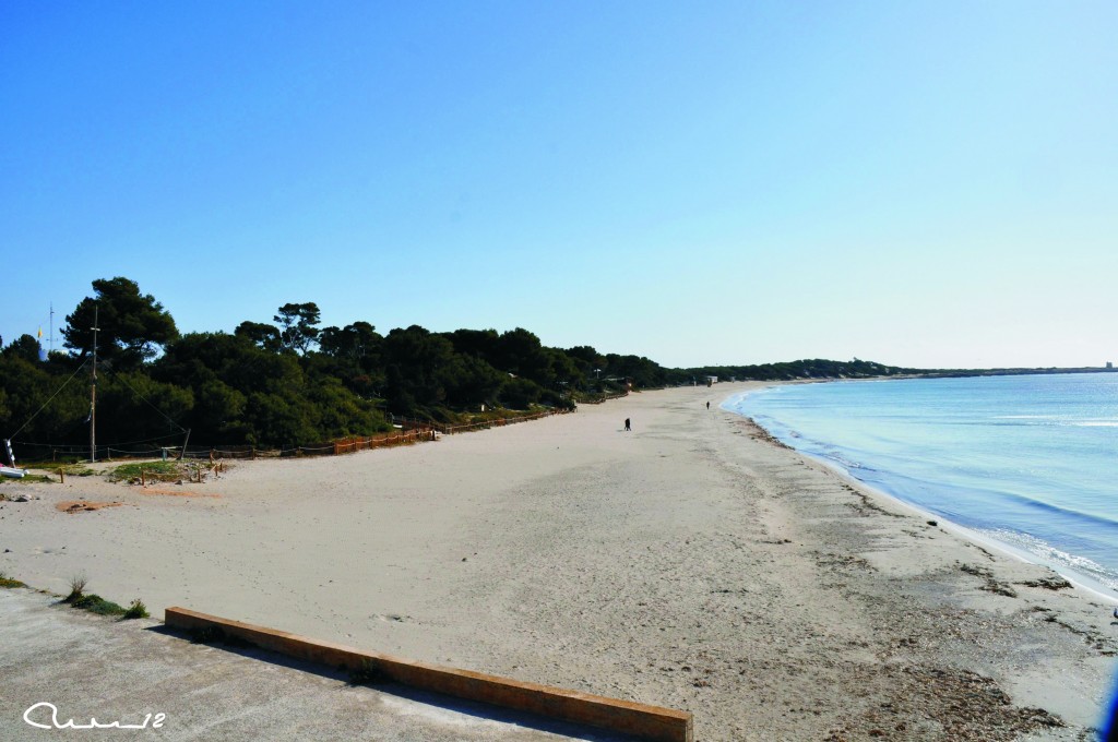 Foto: Playa - Ibiza (Illes Balears), España