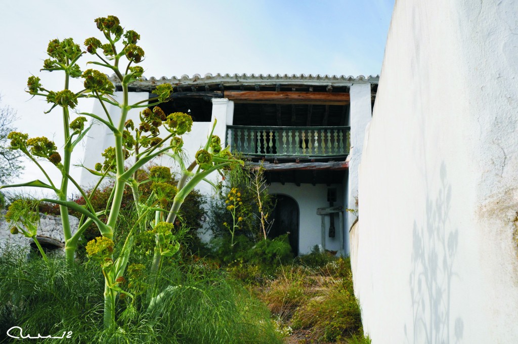 Foto: Balcon - Ibiza (Illes Balears), España