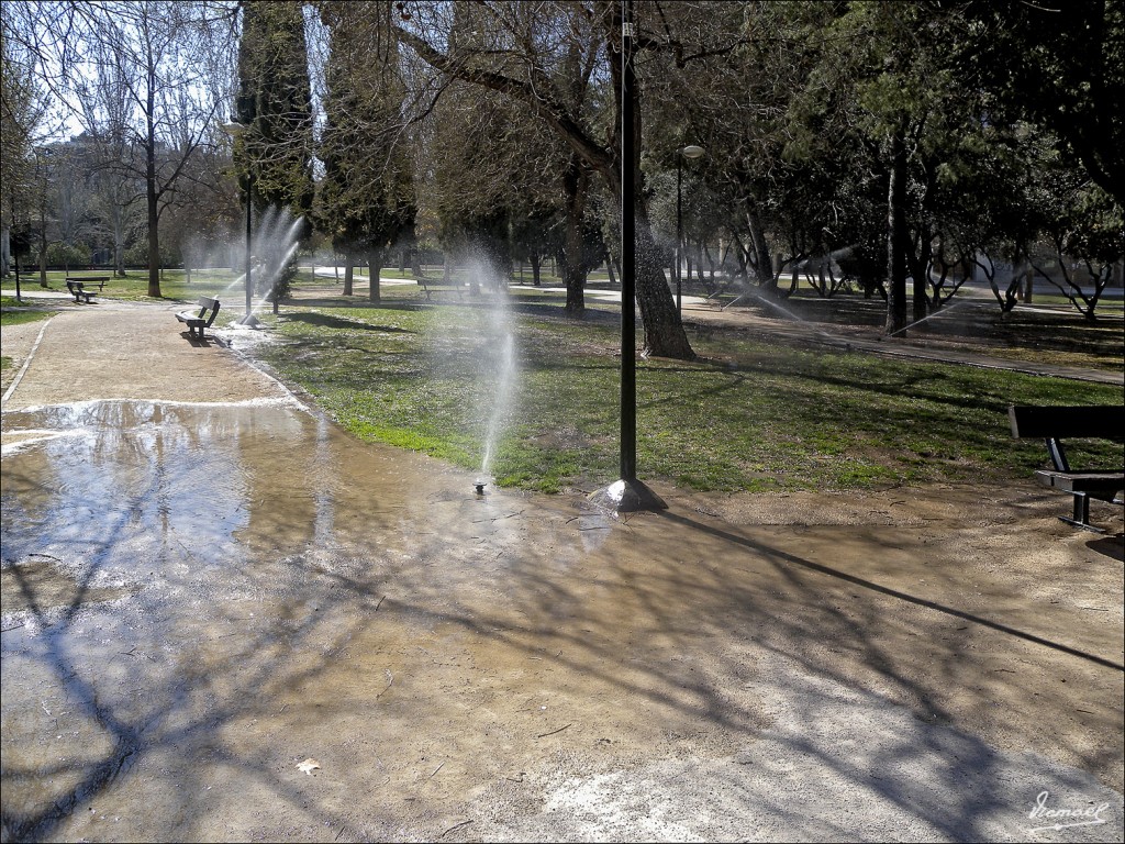 Foto: 120315-02 PARQUE MIRAFLORES - Zaragoza (Aragón), España