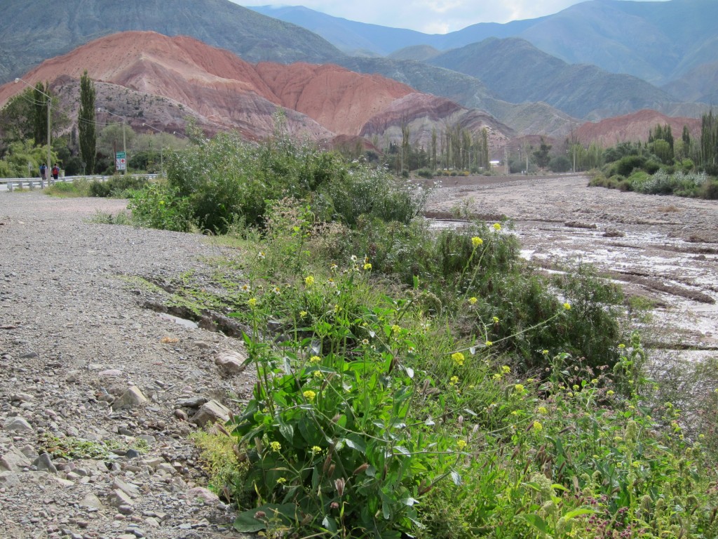 Foto: Purmamarca. - Jujuy, Argentina