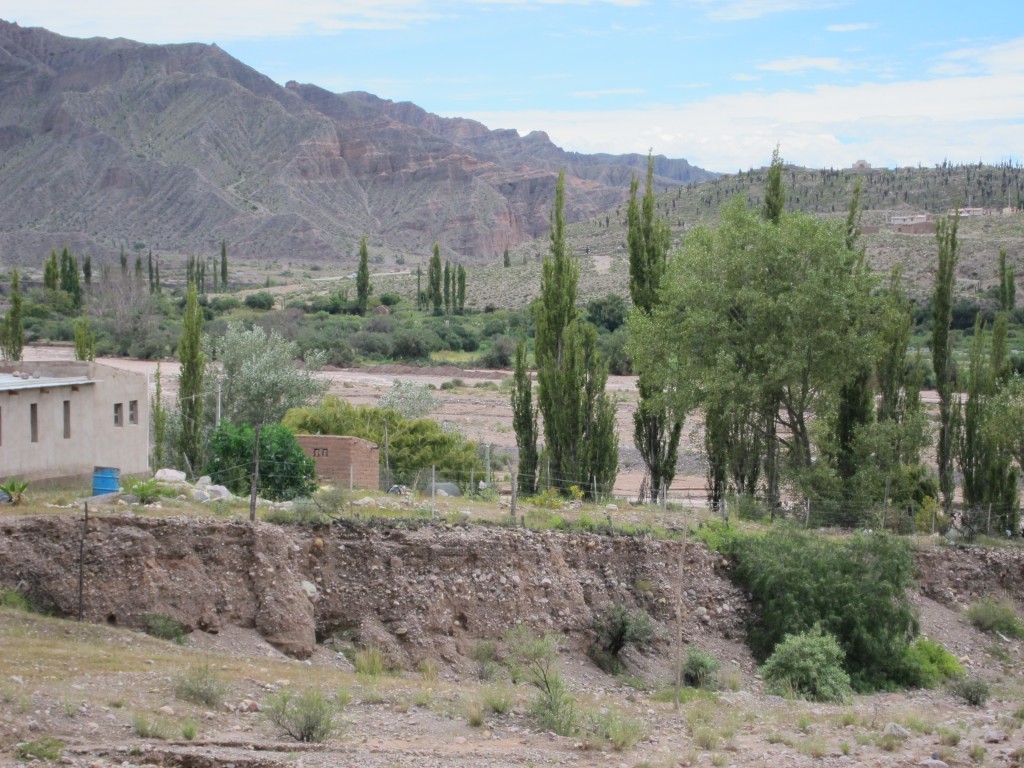 Foto: Maimara. - Jujuy, Argentina