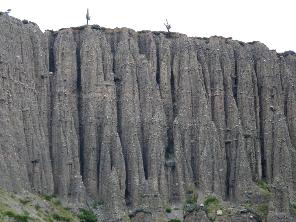 Foto de Tumbaya (Jujuy), Argentina