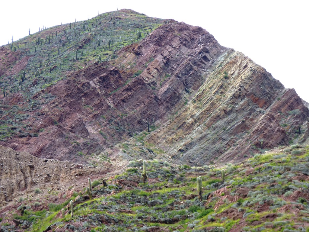 Foto: Cerro de los 7 colores. - Purmamarca (Jujuy), Argentina