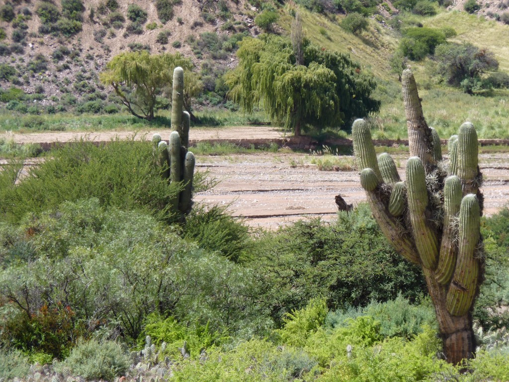 Foto de Purmamarca (Jujuy), Argentina