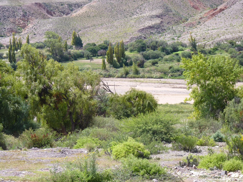 Foto de Purmamarca (Jujuy), Argentina