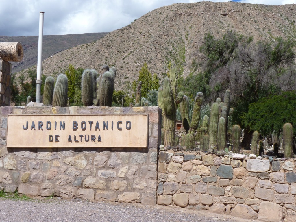 Foto: Pucará de Tilcara. - Tilcara (Jujuy), Argentina