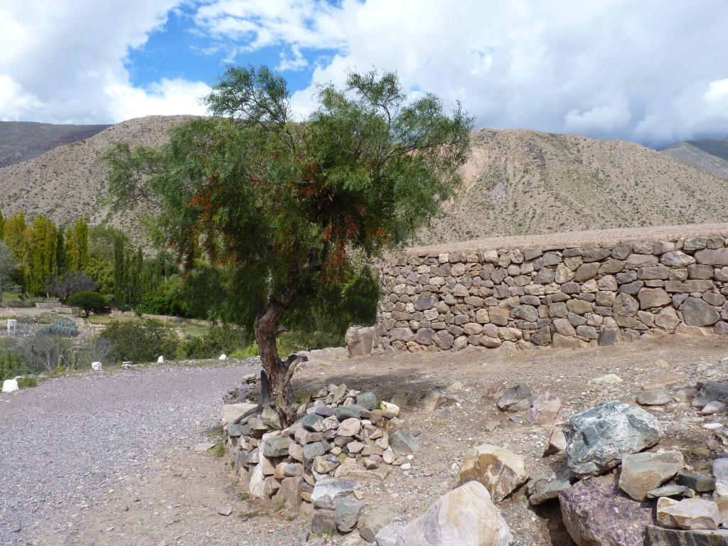 Foto: Pucará de Tilcara. - Tilcara (Jujuy), Argentina