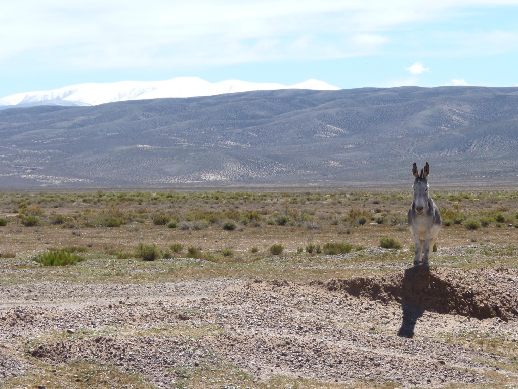 Foto de Cuesta de Lipán (Jujuy), Argentina