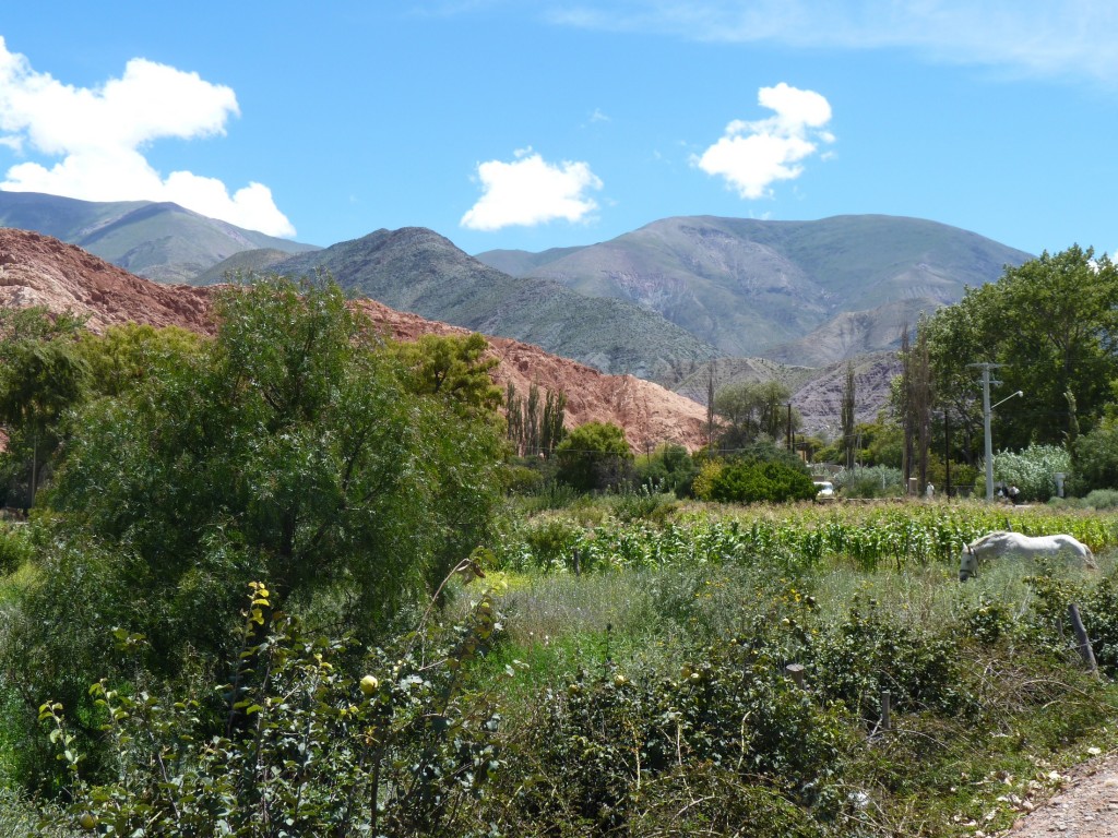 Foto de Cuesta de Lipán (Jujuy), Argentina