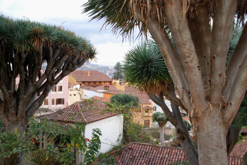 Foto de Santa Cruz de Tenerife (Canarias), España