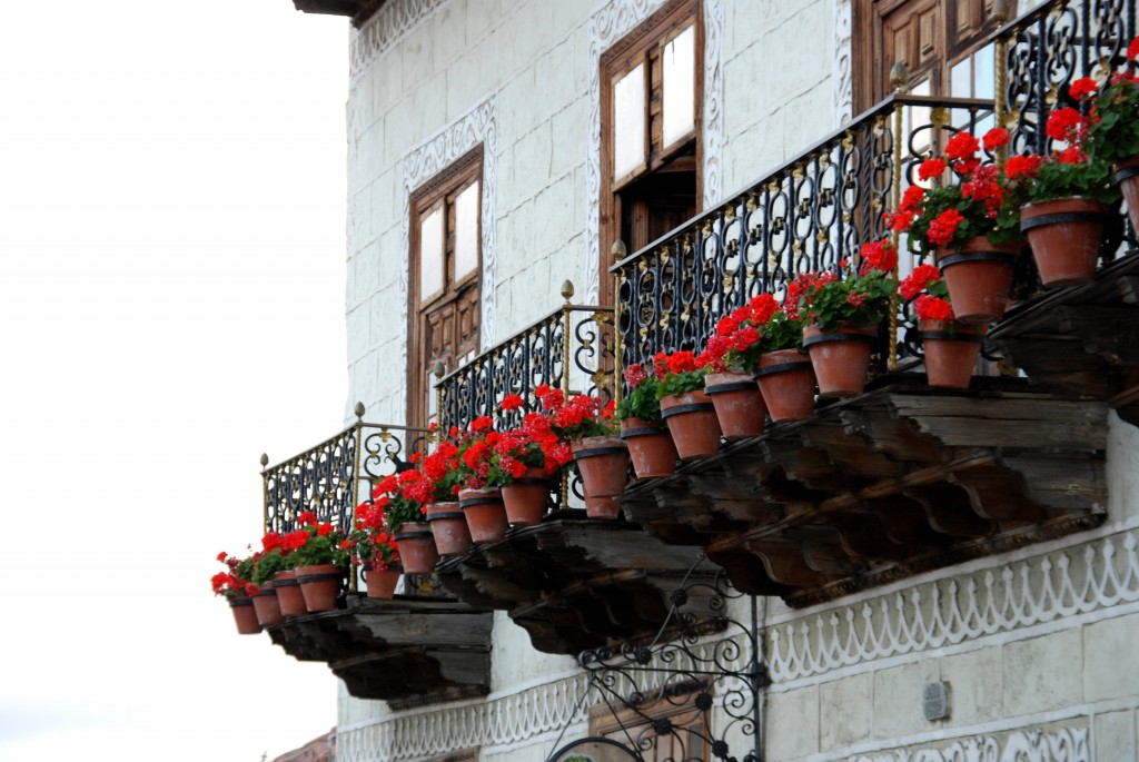 Foto de Santa Cruz de Tenerife (Canarias), España