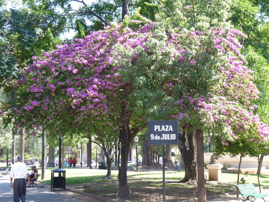 Foto de Salta, Argentina