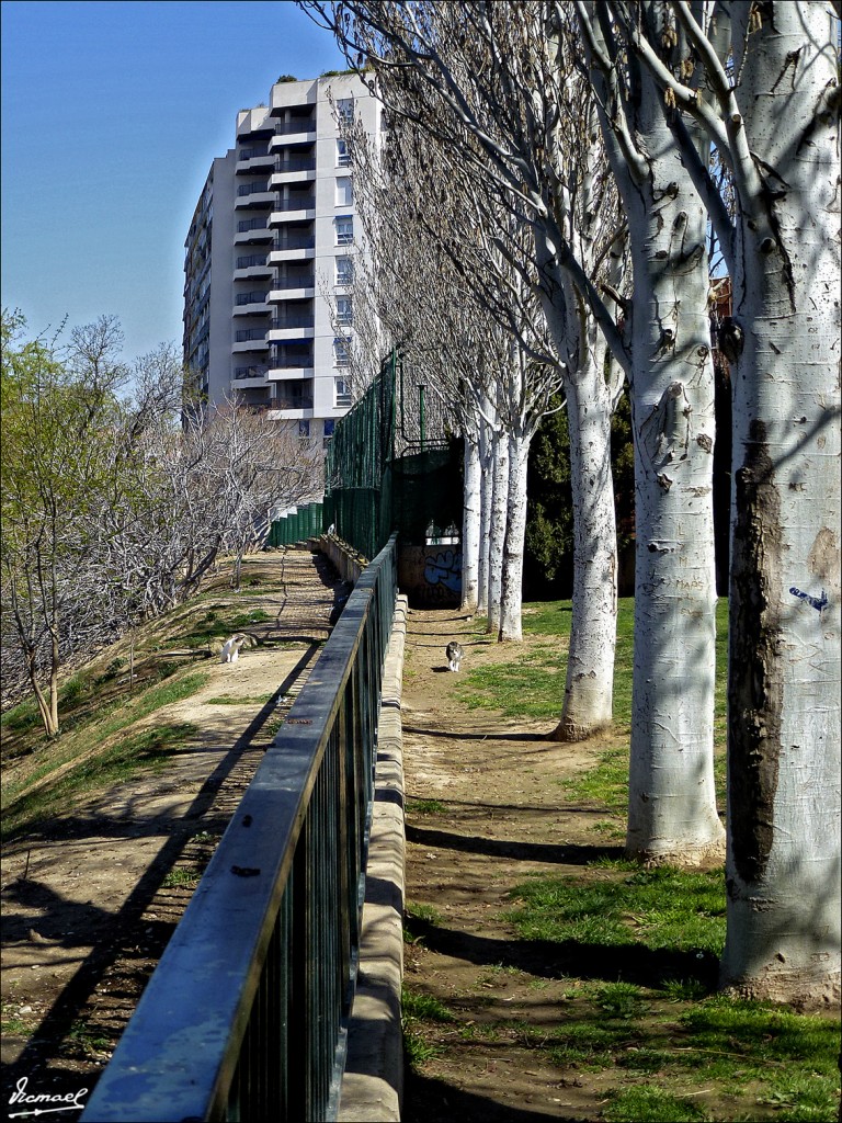 Foto: 120324-05 CESAREO ALIERTA - Zaragoza (Aragón), España