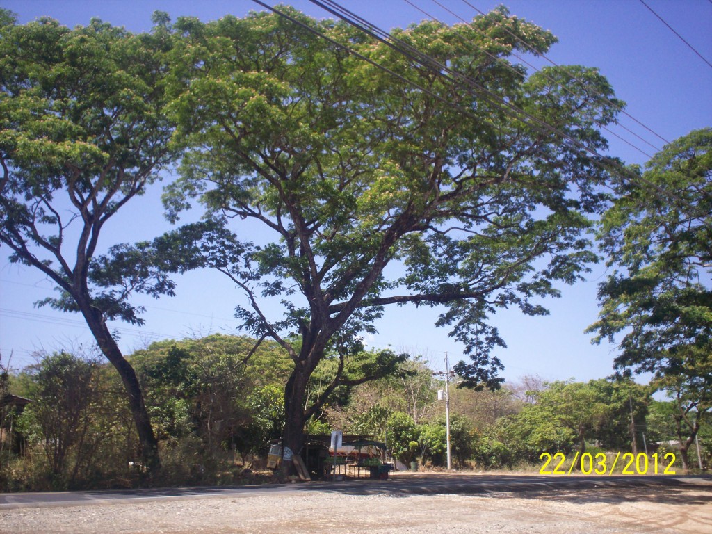 Foto de Liberia (Guanacaste), Costa Rica