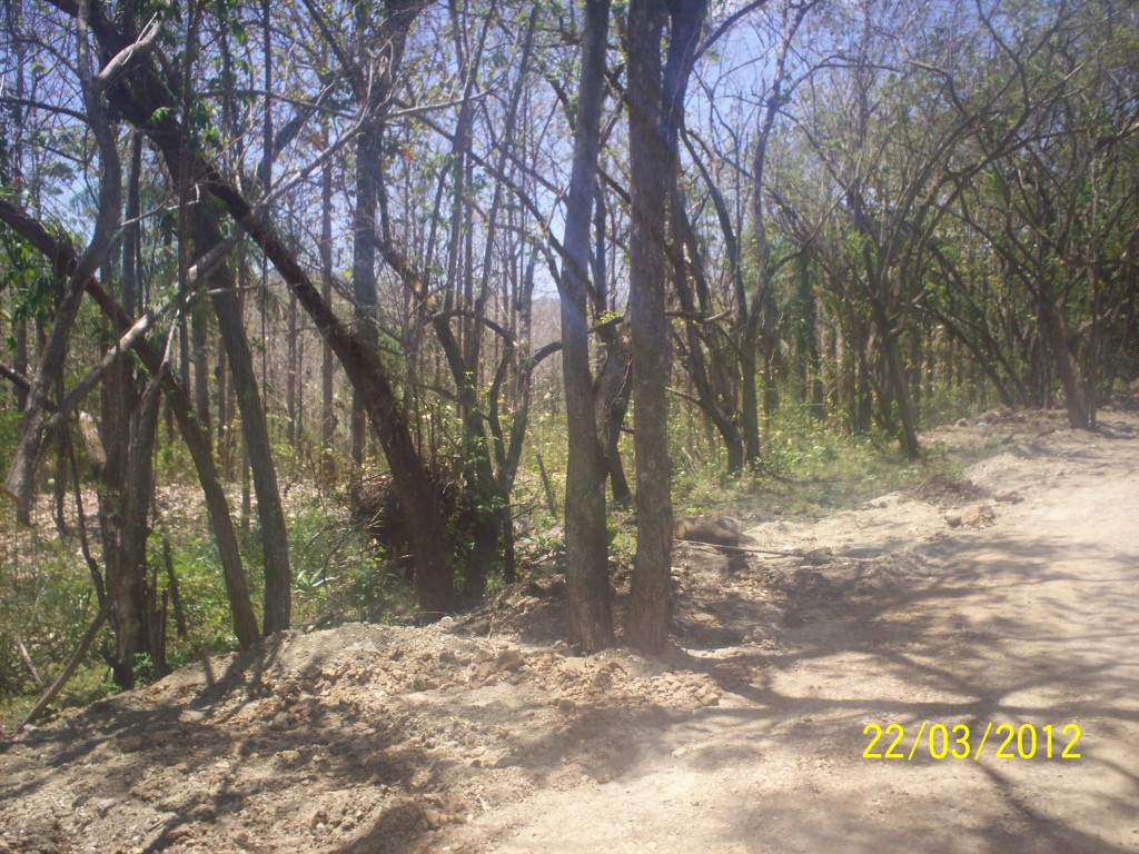 Foto de Liberia (Guanacaste), Costa Rica