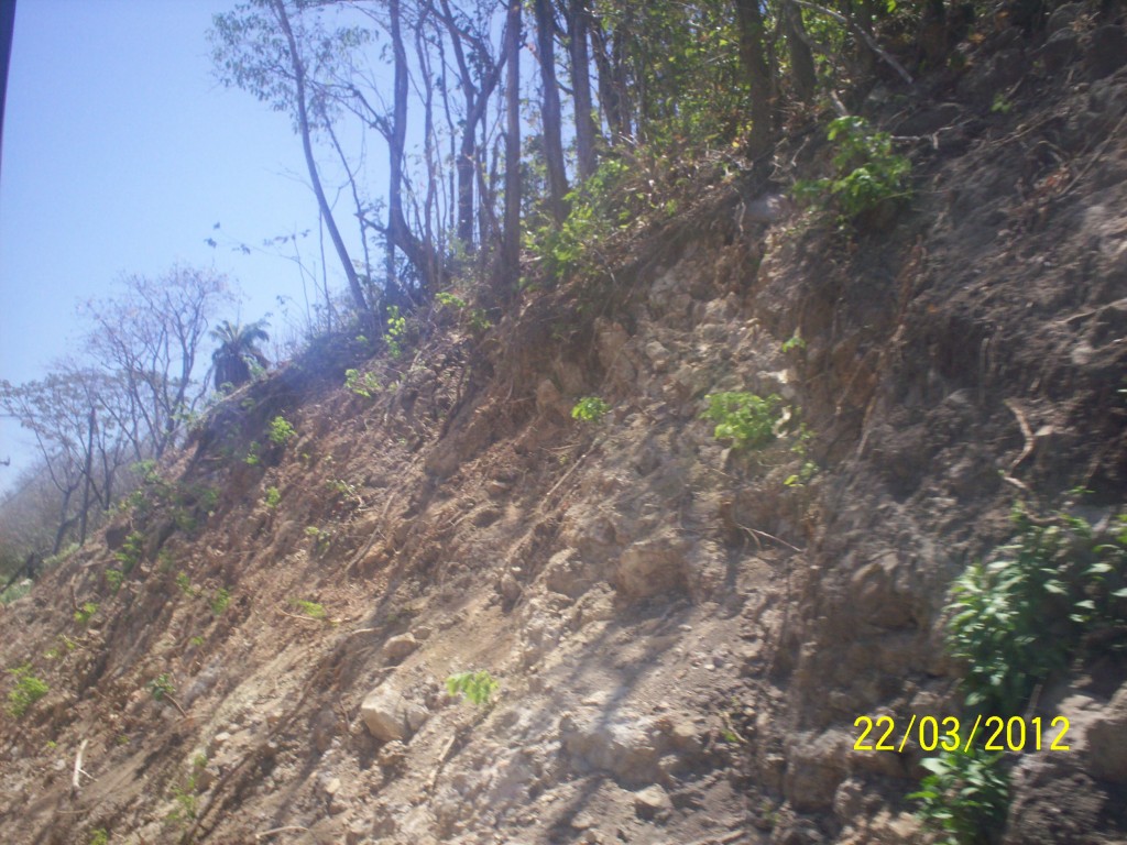 Foto de Liberia (Guanacaste), Costa Rica