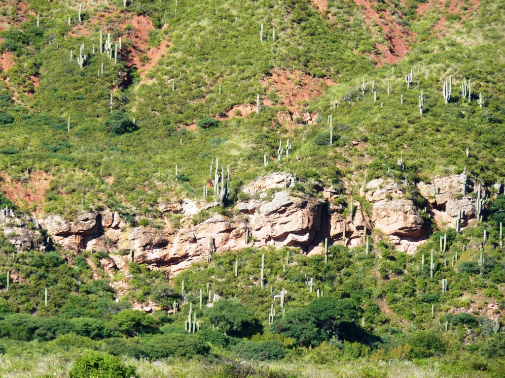 Foto: Camino a Cachi. Parador El Maray. - Cachi (Salta), Argentina