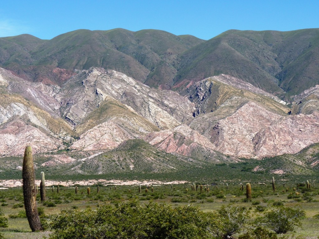 Foto: Parque Nacional Los Cardones. - Cachi (Salta), Argentina