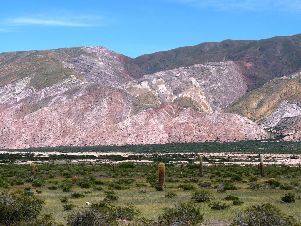 Foto: Parque Nacional Los Cardones. - Cachi (Salta), Argentina