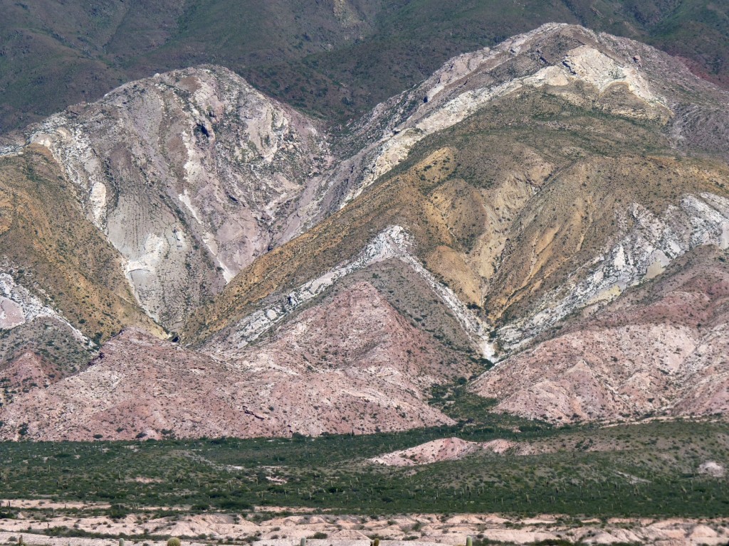 Foto: Parque Nacional Los Cardones. - Cachi (Salta), Argentina