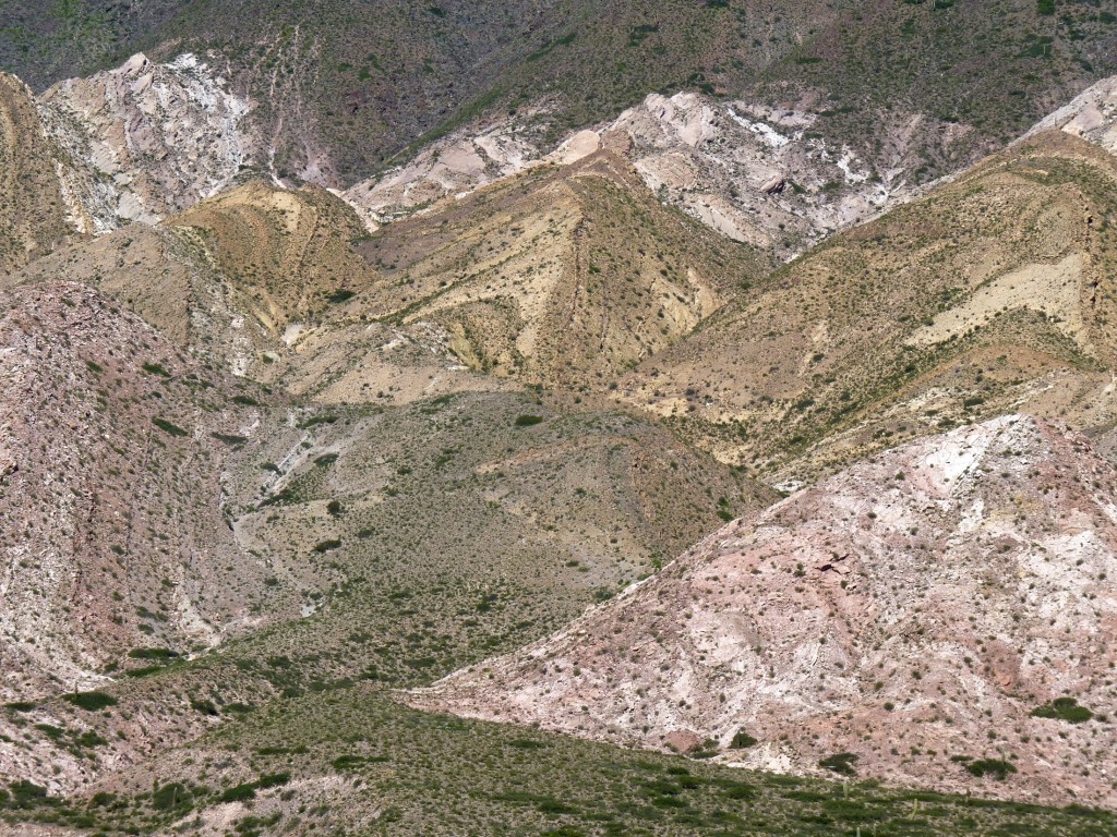 Foto: Parque Nacional Los Cardones. - Cachi (Salta), Argentina