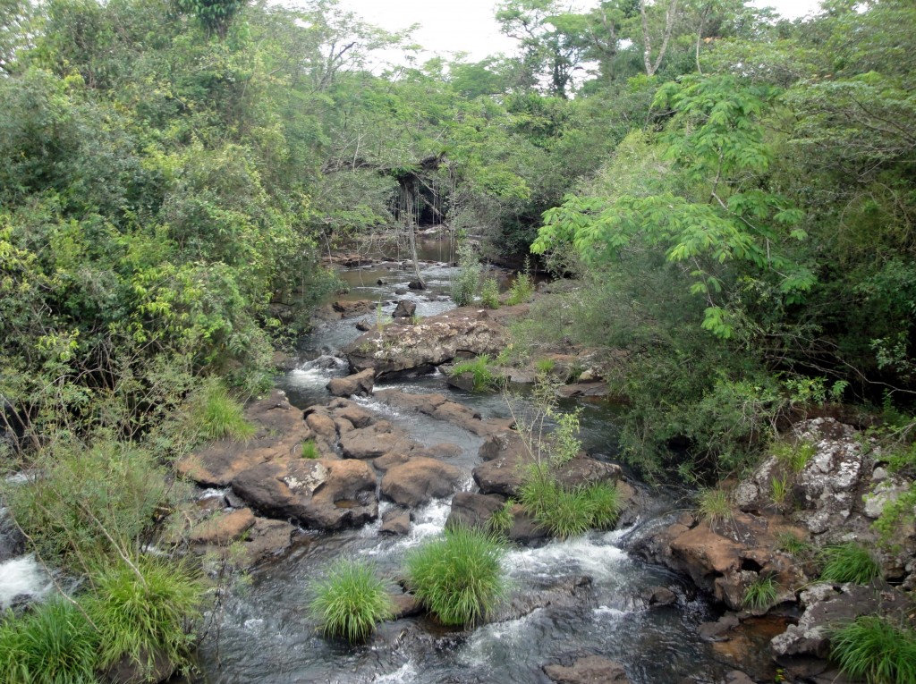 Foto: Circuito Superior - Puerto Iguazú (Misiones), Argentina