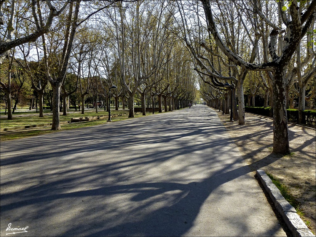 Foto: 120328-05 PARQUE ZARAGOZA - Zaragoza (Aragón), España