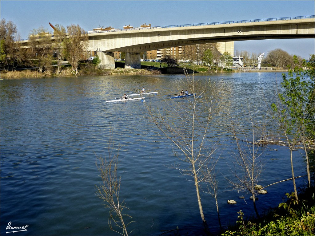 Foto: 120328-30 RIO EBRO - Zaragoza (Aragón), España