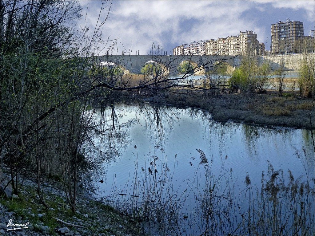 Foto: 120328-38 RIO EBRO - Zaragoza (Aragón), España