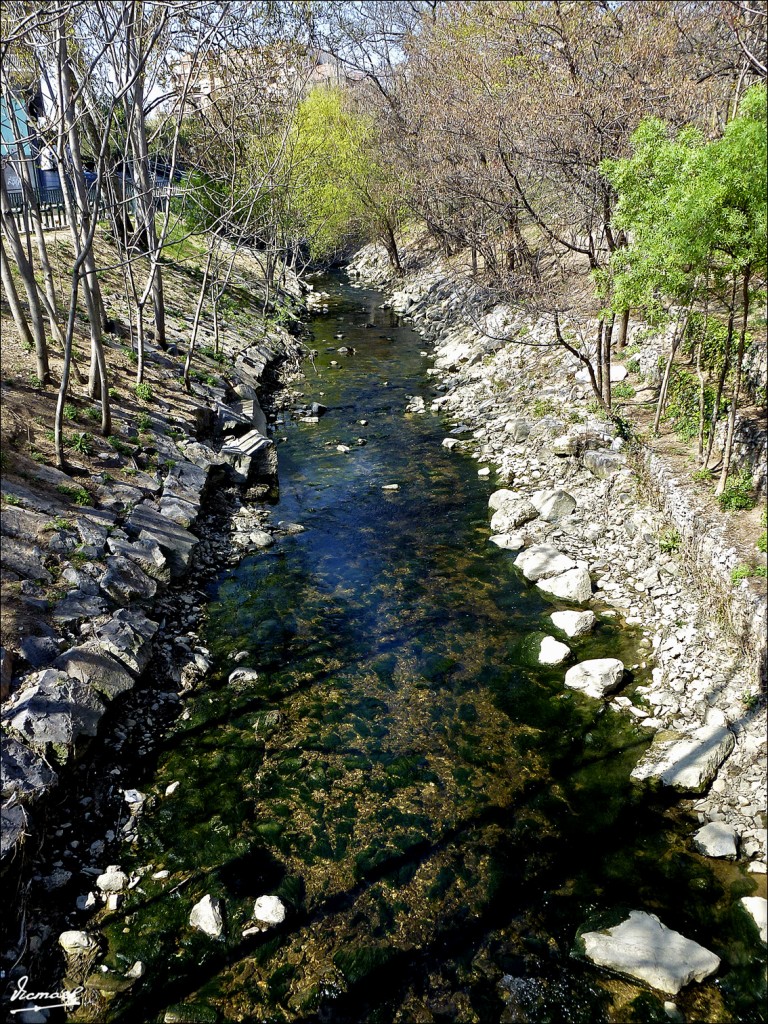 Foto: 120329-05 ORILLA DE LA HUERVA - Zaragoza (Aragón), España