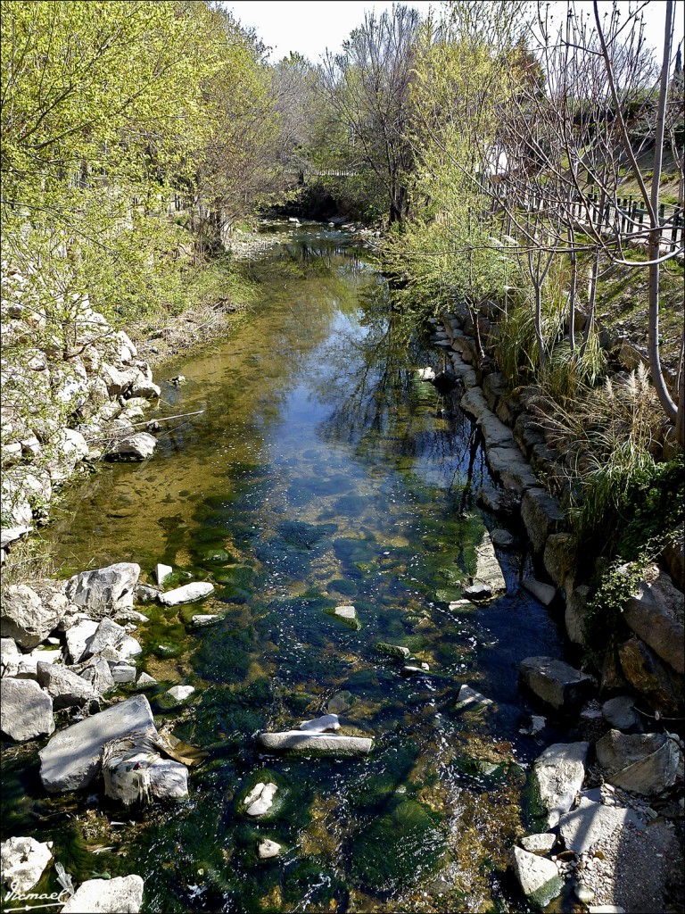 Foto: 120329-14 ORILLA DE LA HUERVA - Zaragoza (Aragón), España