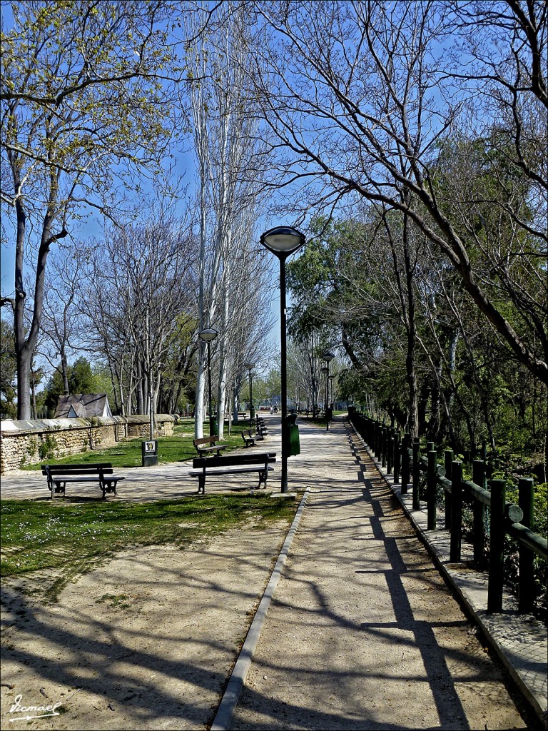 Foto: 120329-15 ORILLA DE LA HUERVA - Zaragoza (Aragón), España