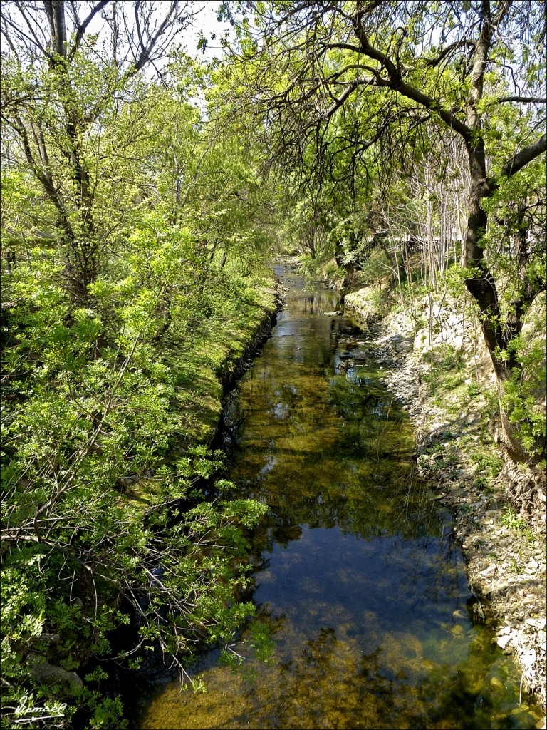 Foto: 120329-19 ORILLA DE LA HUERVA - Zaragoza (Aragón), España