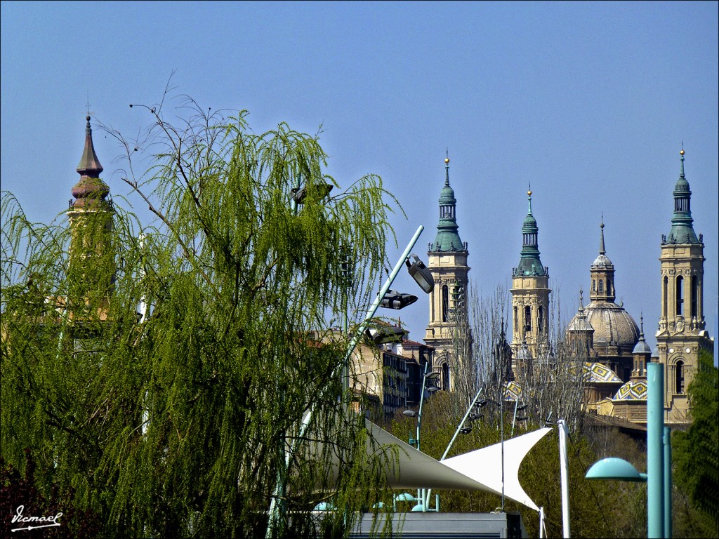 Foto: 120329-31 ORILLA DE LA HUERVA - Zaragoza (Aragón), España