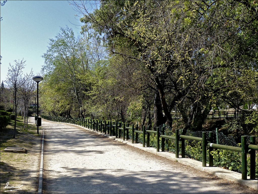 Foto: 120329-33 ORILLA DE LA HUERVA - Zaragoza (Aragón), España