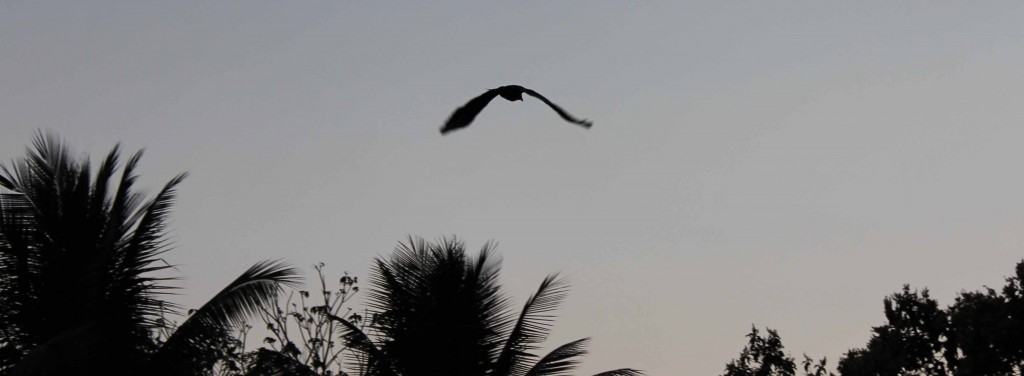 Foto de Tapachula (Chiapas), México