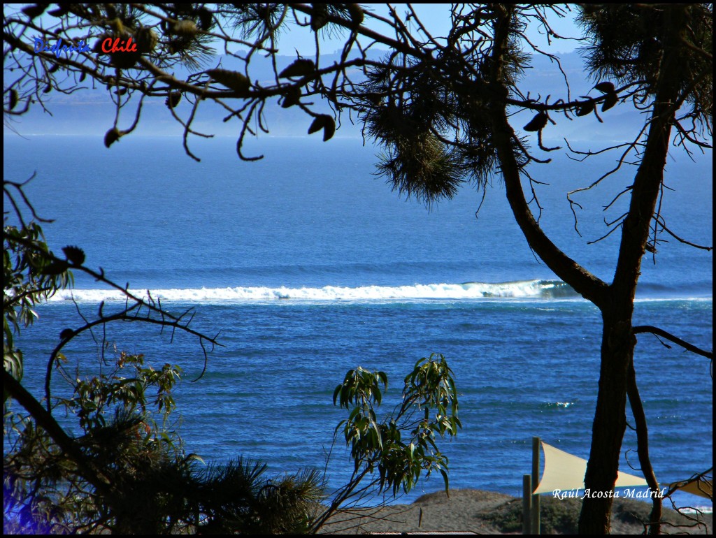 Foto de Pichilemu (Libertador General Bernardo OʼHiggins), Chile